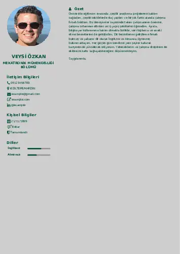 Mekatronik Mühendisliği Cv Örnekleri cv indir